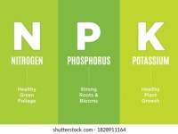 WTF is NPK and what does it have to do with&nbsp;plants?