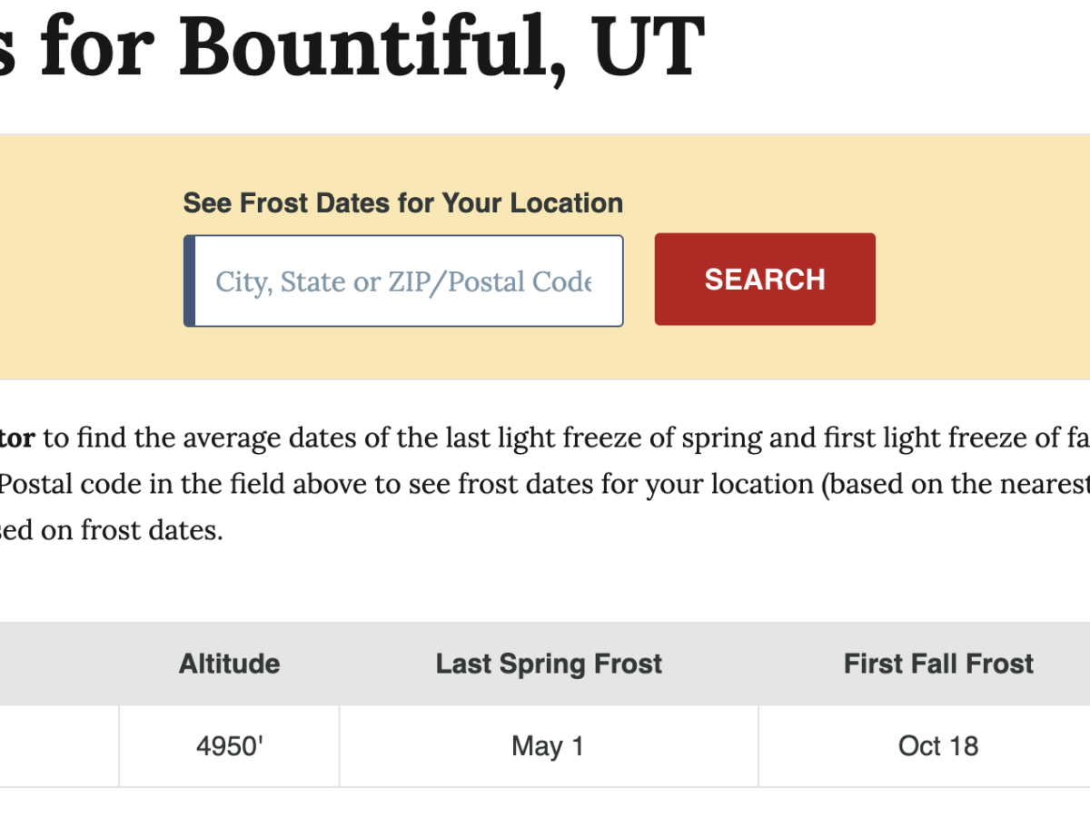Silly Snow, Tricks for&nbsp;plants!